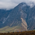 cape_5_20