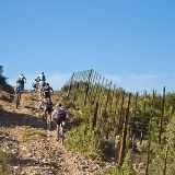 cape_pionner_1_2