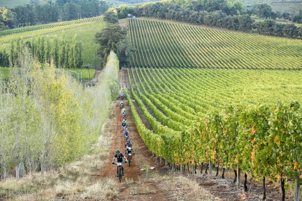 Sin olvidar las zonas de viñas. Foto Sam Clark/Cape Epic/SPORTZPICS
