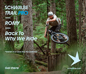 Schwalbe