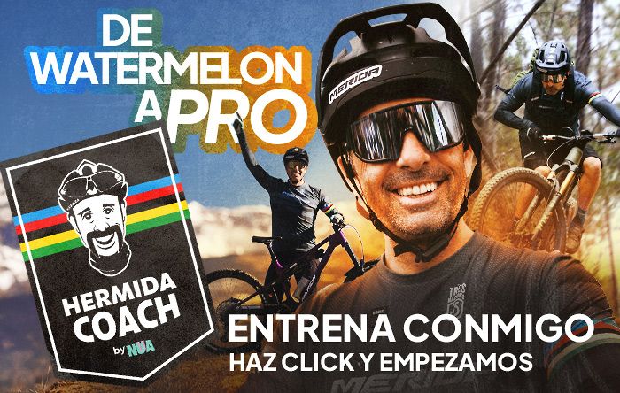 Hermida Coach