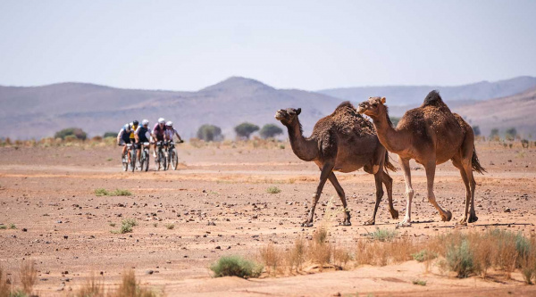 La Škoda Titan Desert Morocco, una aventura que todo ciclista debería experimentar una vez en la vida