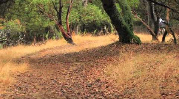 Vídeo Ben Cruz – WTB, Fox, Cannondale