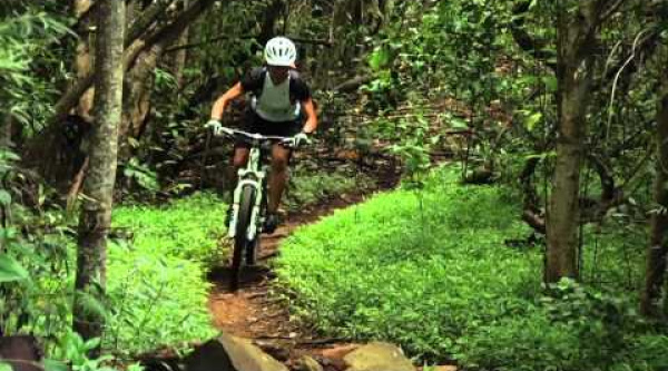 Trek Lush, la doble para la chicas de Trek