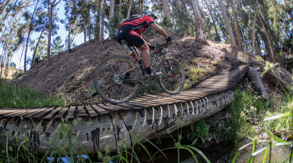 Absa Cape Epic 2014 Stage 6 Elgin