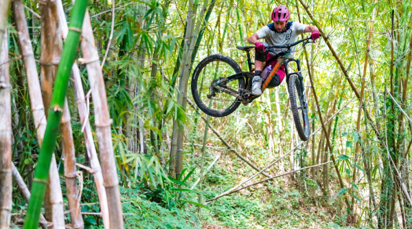 Niner RIP 9 RDO