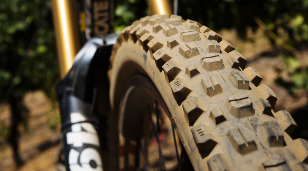 Maxxis Assegai