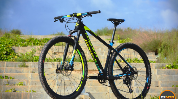 Bergamont Revox