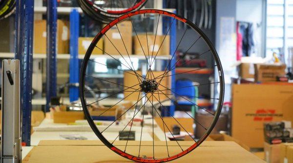Progess DYN Ceramic 2020