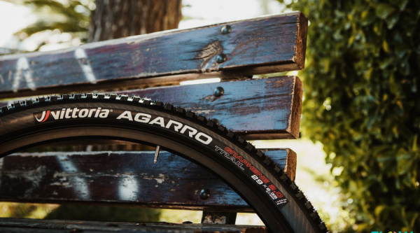 Vittoria Agarro