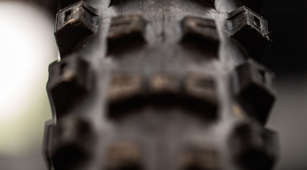 Pirelli Scorpion Race DH T
