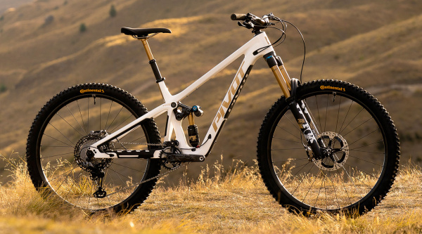 Pivot Firebird 2025