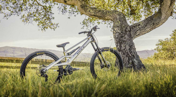 Pole Bicycles