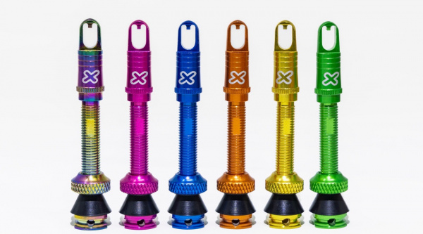 xasuce01