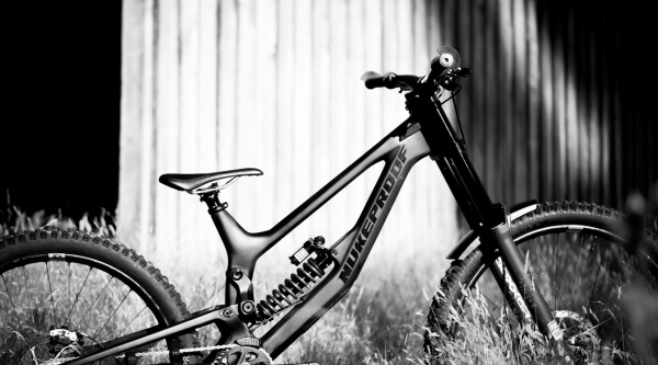 Nukeproof Dissent Carbon