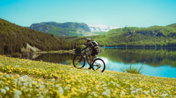 Titan Forest Patagonia
