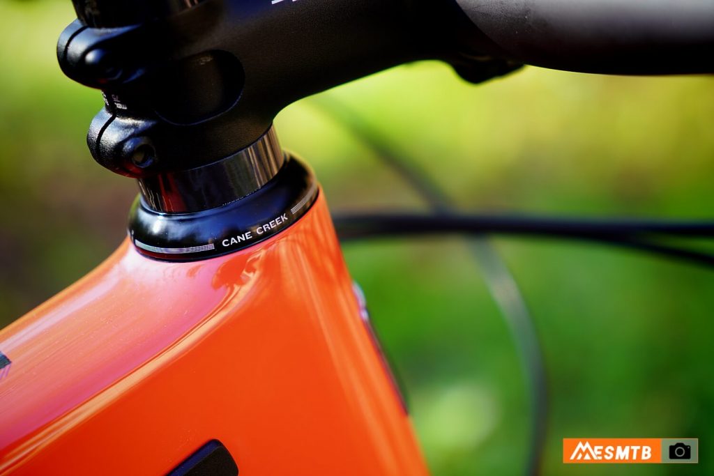 Santa Cruz Highball