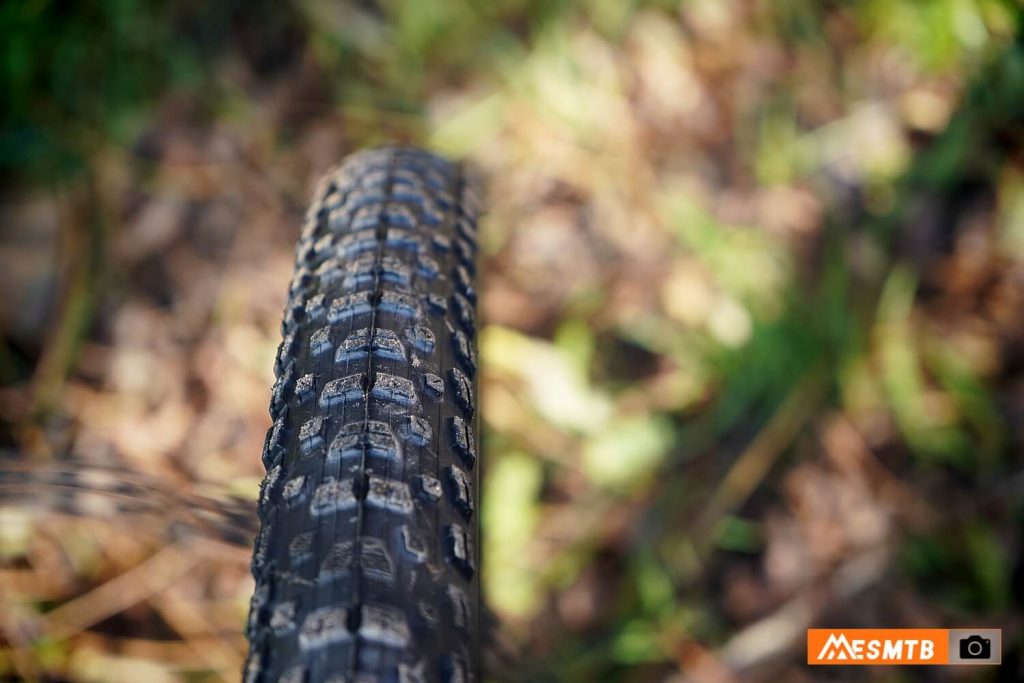 Santa Cruz Highball