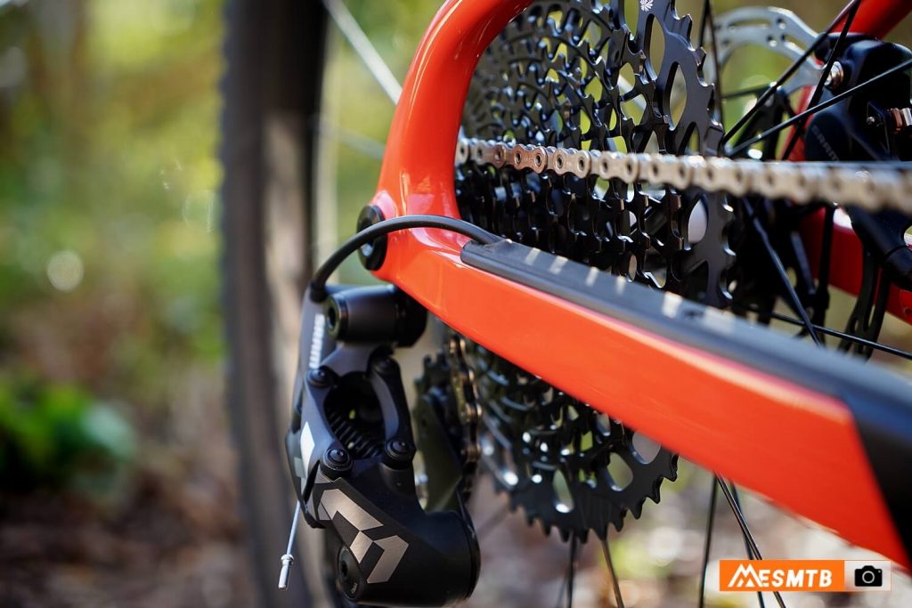 Santa Cruz Highball