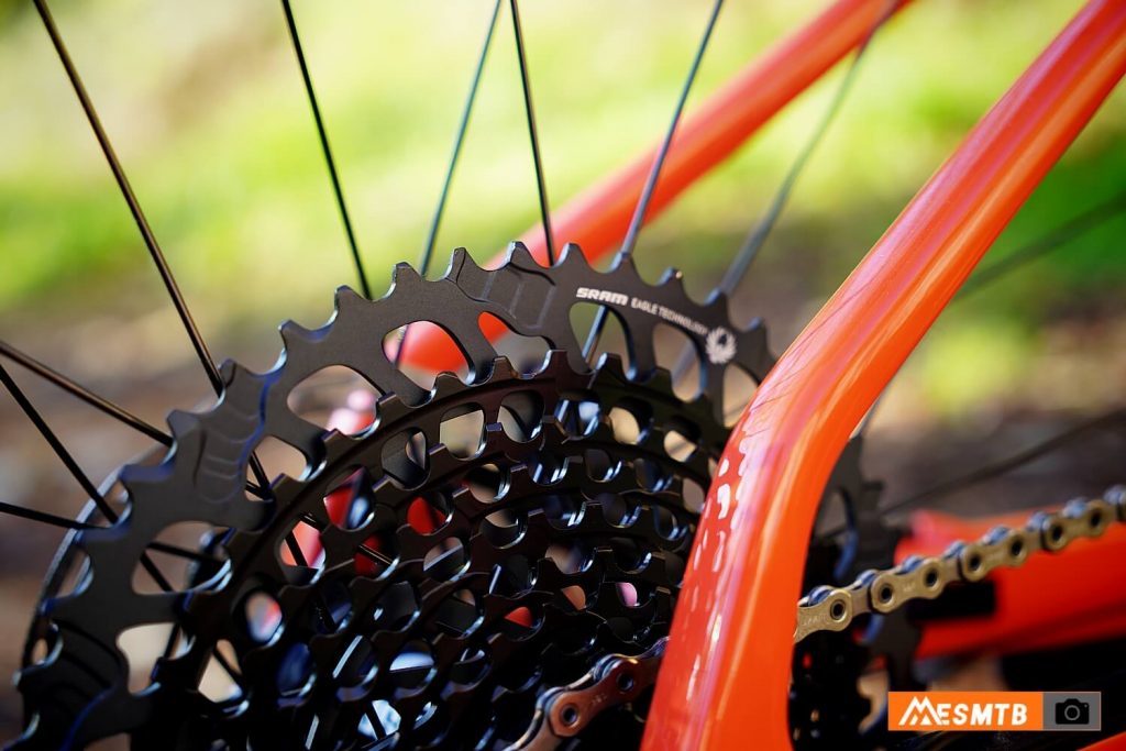 Santa Cruz Highball