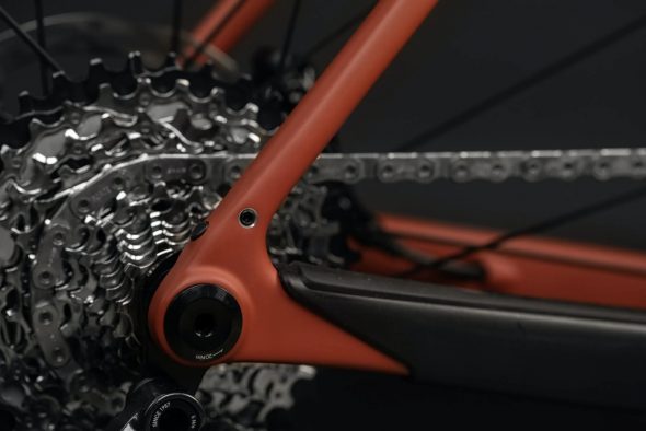 Santa Cruz Stigmata