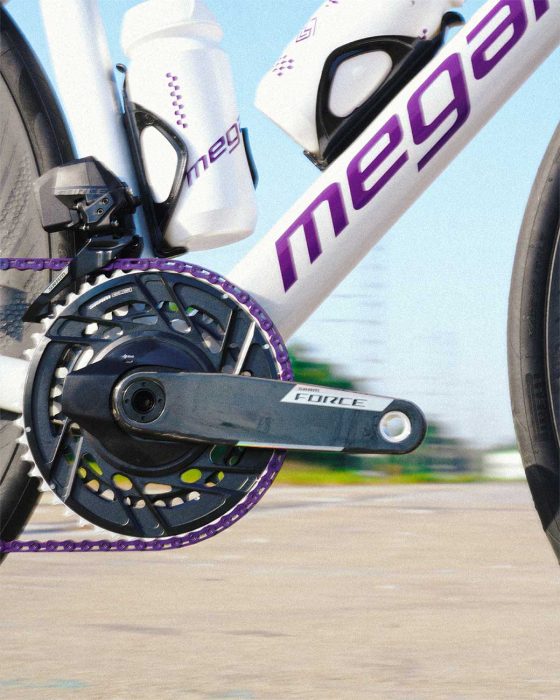 Megamo Pulse 2026