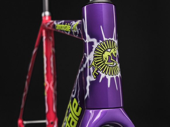 Cannondale CAAD14 x Team Dream